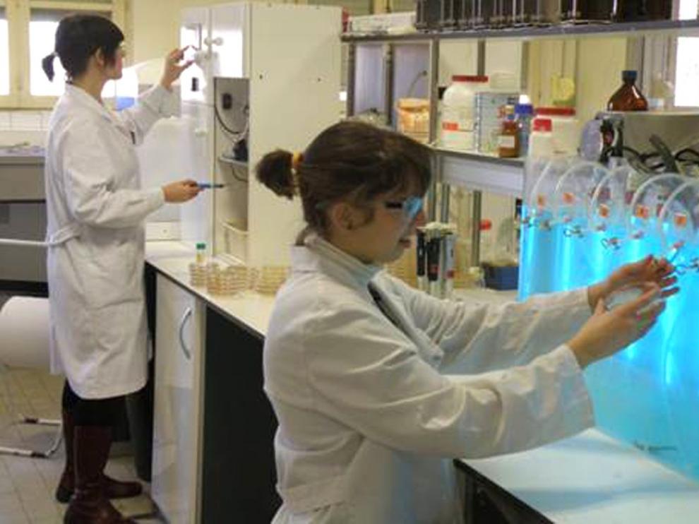 El IA2, un joven centro de investigación con proyectos de vanguardia
