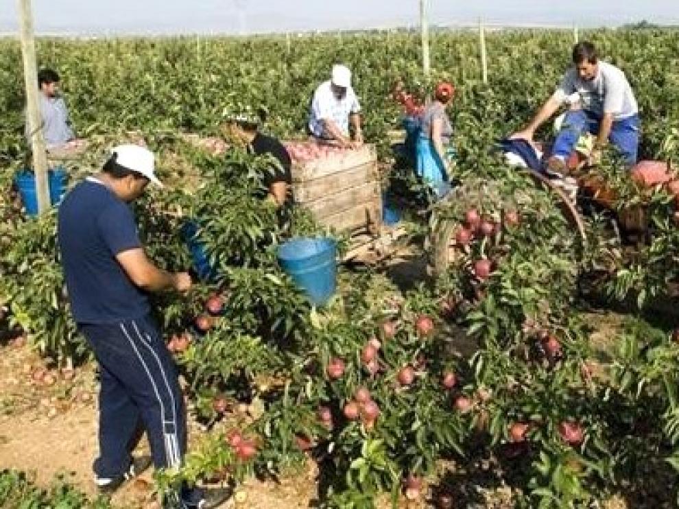 Concentración este domingo contra la precariedad laboral de los temporeros