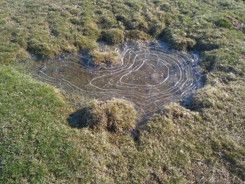 Arte en la naturaleza