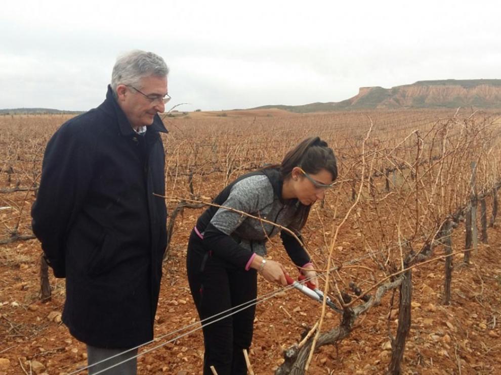 Agricultores aragoneses reciben 357 millones de euros del Feaga hasta el 31 de marzo