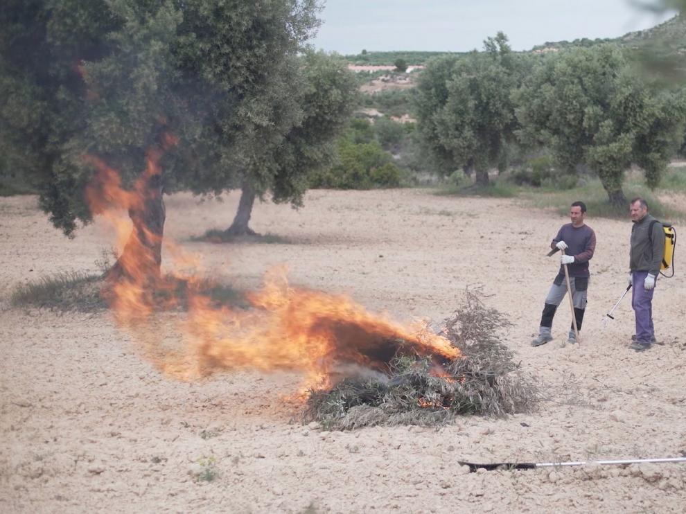 Uaga denuncia problemas con las quemas agrícolas por el riesgo de incendios en Aragón