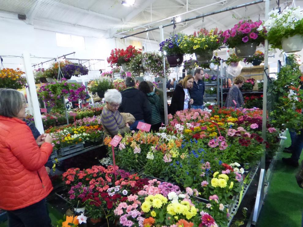 Buen tiempo y mucha animación en la primera jornada de la Feria de la Primavera de Biescas