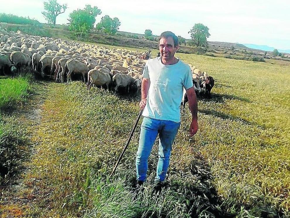 Dos años después el debate del lobo continúa: ¿Es o no posible la coexistencia?