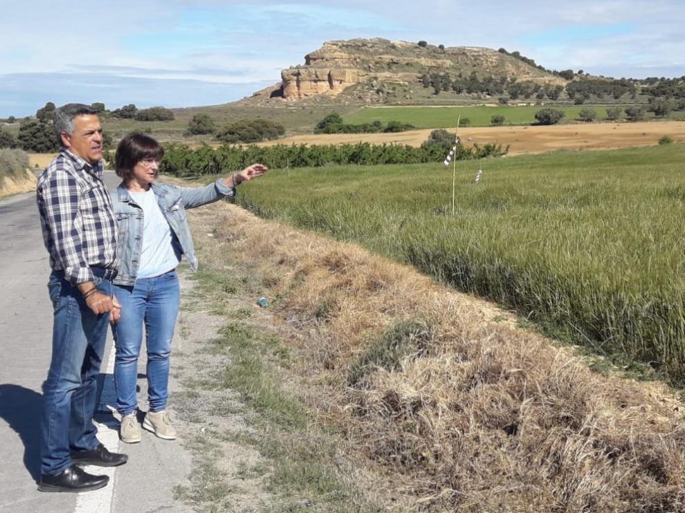 Binaced-Valcarca insta al Gobierno de Aragón a que mejore las carreteras de Monzón, Binéfar y Albalate de Cinca