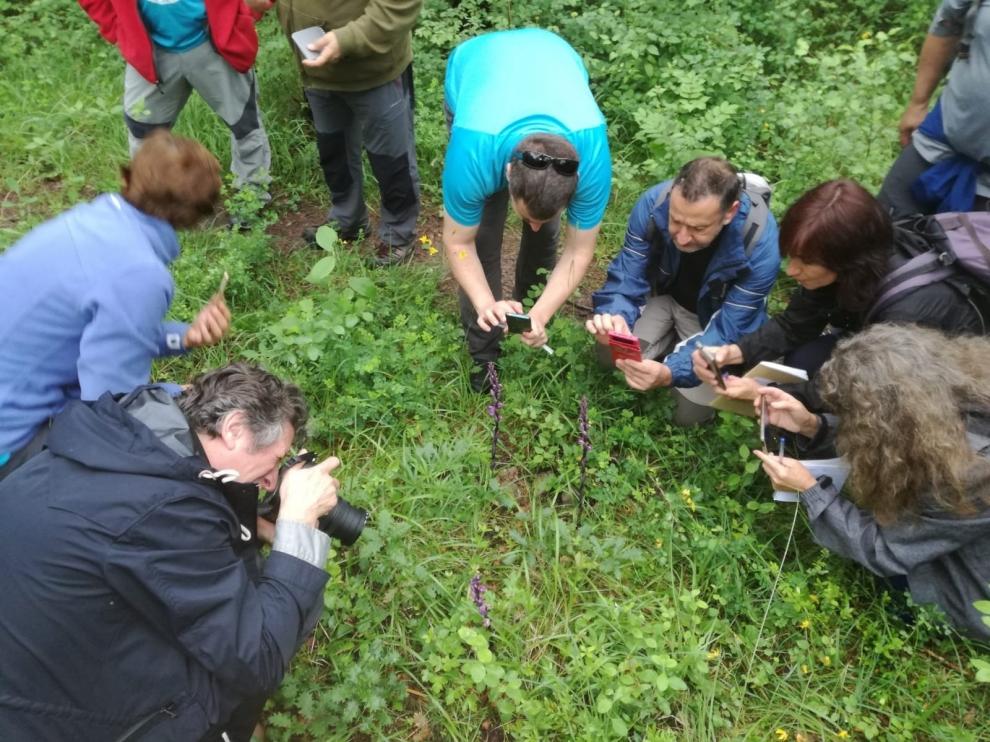 Biescas inaugura sus Jornadas de Orquideología el 7 de junio