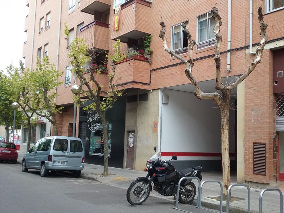 ¿Qué le pasa a este platanero?
