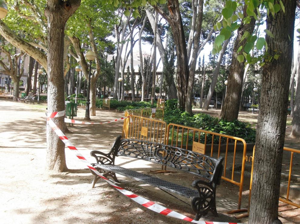 Poda selectiva para minimizar riesgos en el pinar del Parque Miguel Servet de Huesca