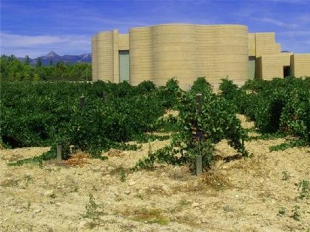 Podoactiva dona al CDAN la obra Otros campos... Arte, sociedad y fútbol
