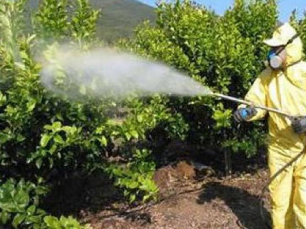 La red de control de plaguicidas del Ebro detecta dos incumplimientos en Zaidín