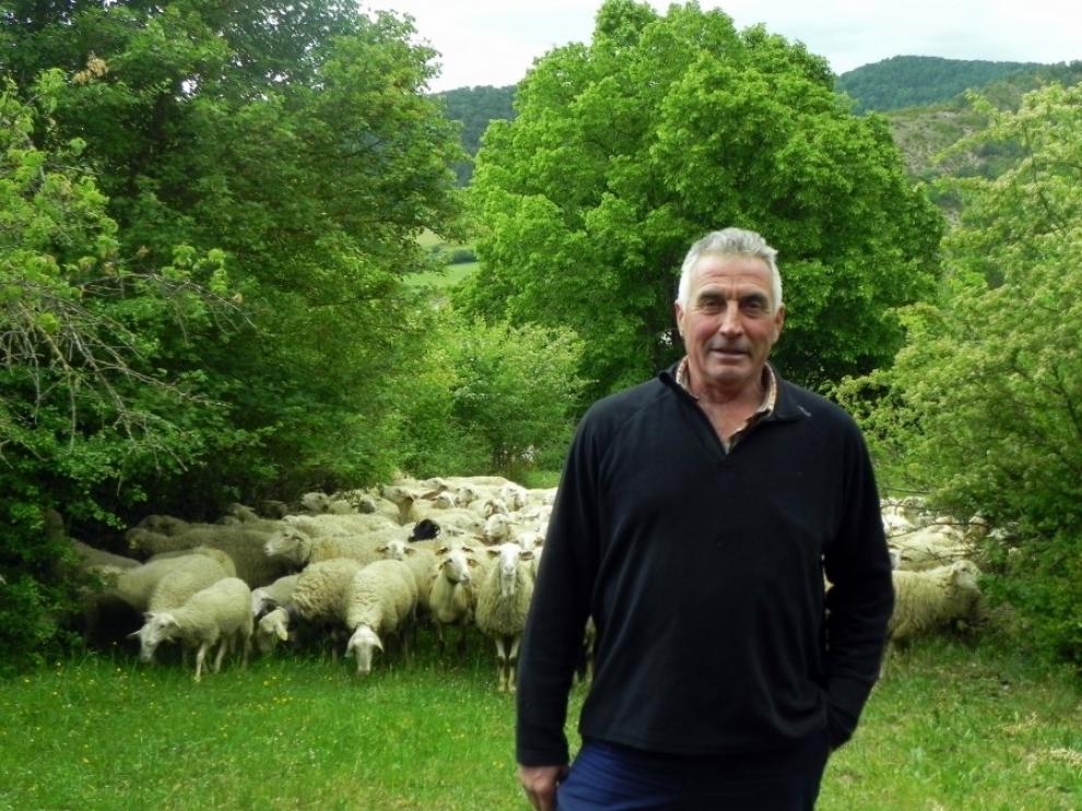 Los criadores de Ovino Ansotano, galardonados