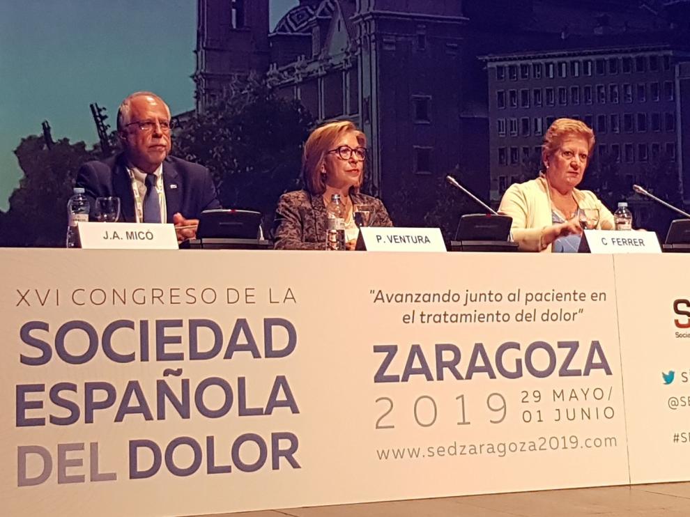 Unos 800 profesionales debaten sobre el dolor