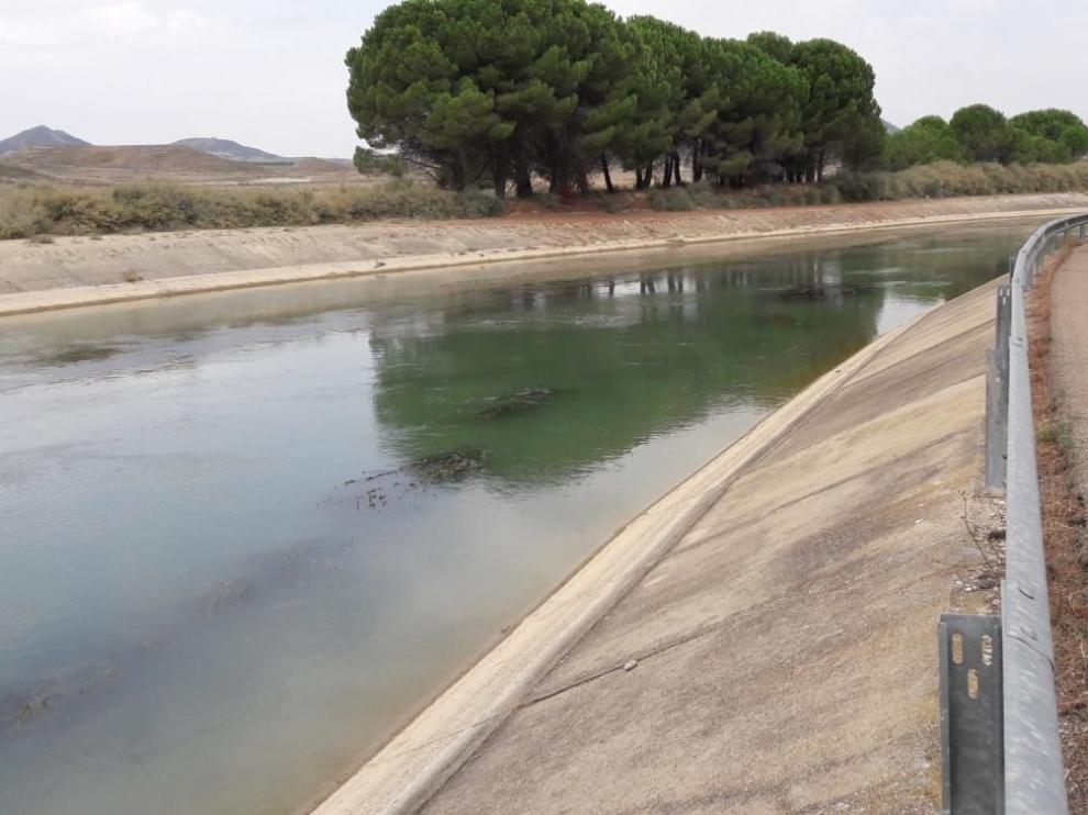 Adjudicados los proyectos de mantenimiento y conservación de los Canales del Cinca y Monegros