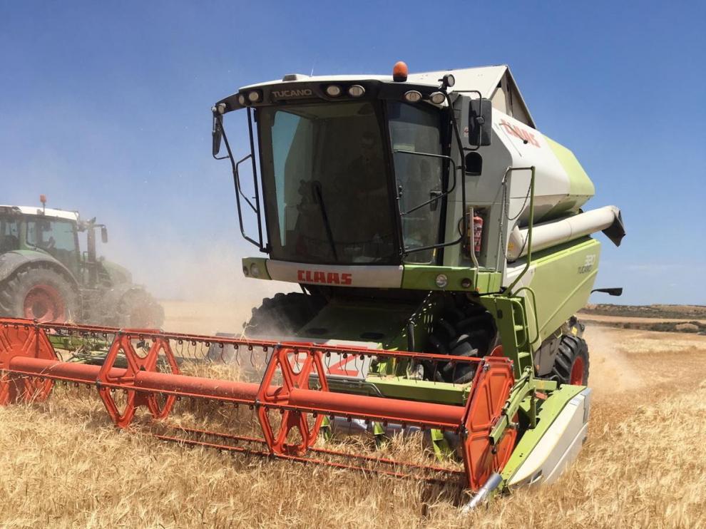Los sindicatos agrarios prevén que la cosecha de cereal sea en Huesca un 28 % inferior a la del año pasado