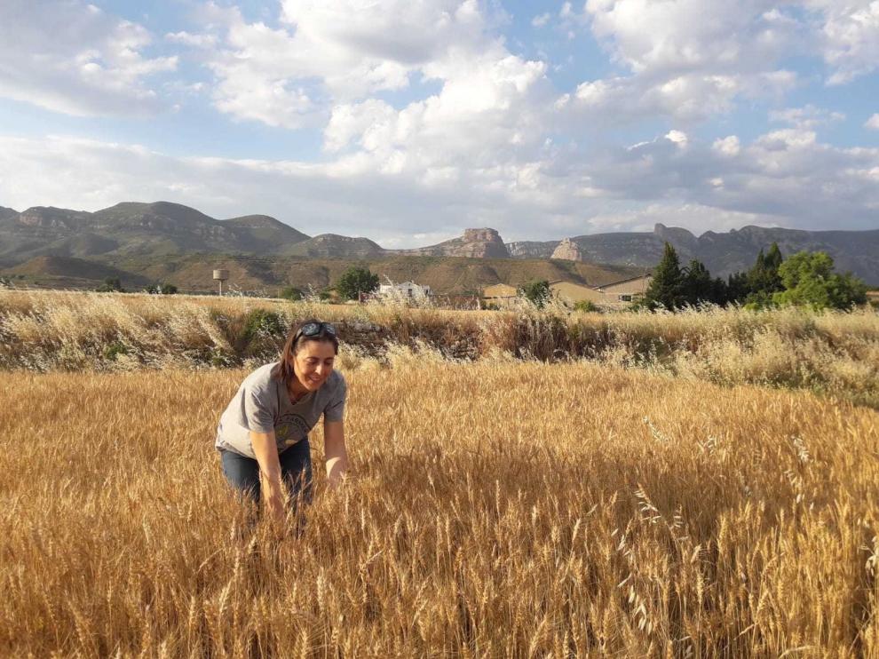 La agricultura ecológica reivindica que se reconozca su peso en el sector