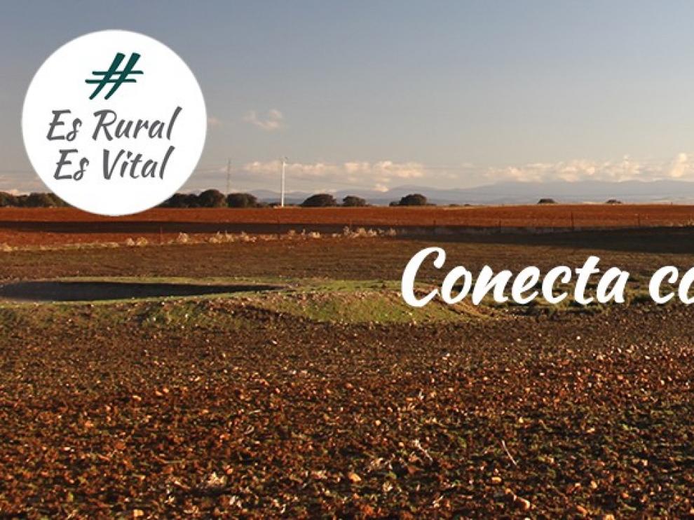 Crean cerca de 2.800 nuevos empleos en el medio rural en cuatro años