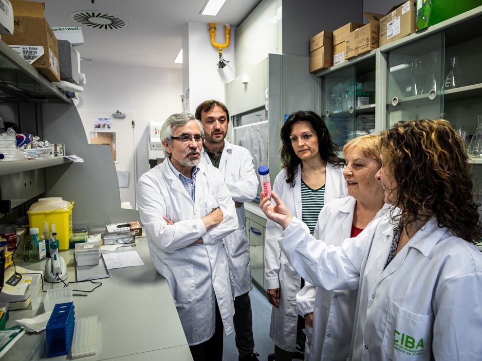 Investigadores aragoneses hallan un método para el diagnóstico de una infección que amenaza la vida de niños con cáncer