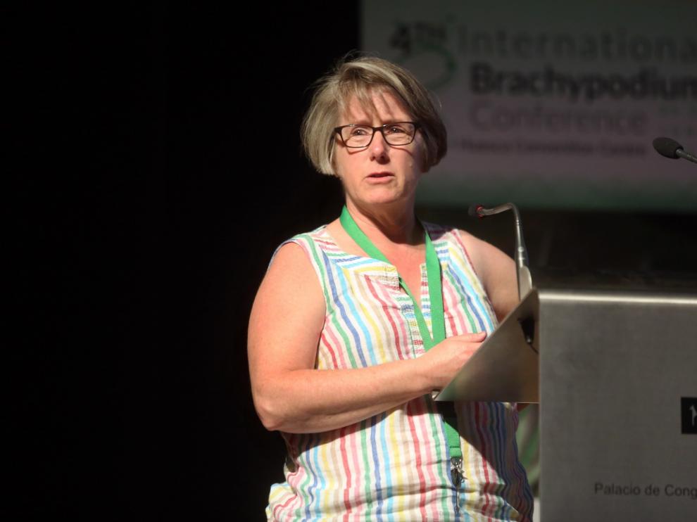 Robin Buell, de la universidad de Michigan: "El Brachypodium ofrece posibilidades a la investigación"