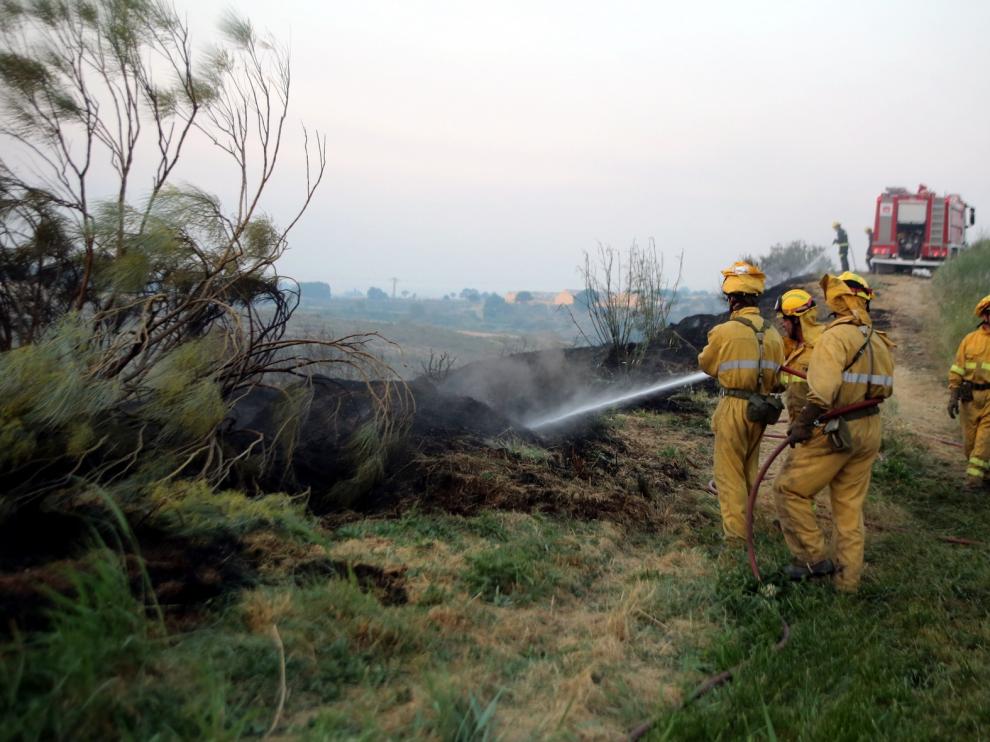 Llamamiento a la prevención ante el elevado riesgo de incendios forestales en Aragón