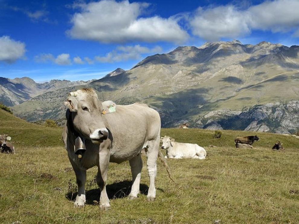 Un montañero francés, accidentado en el Garmo Negro en Panticosa