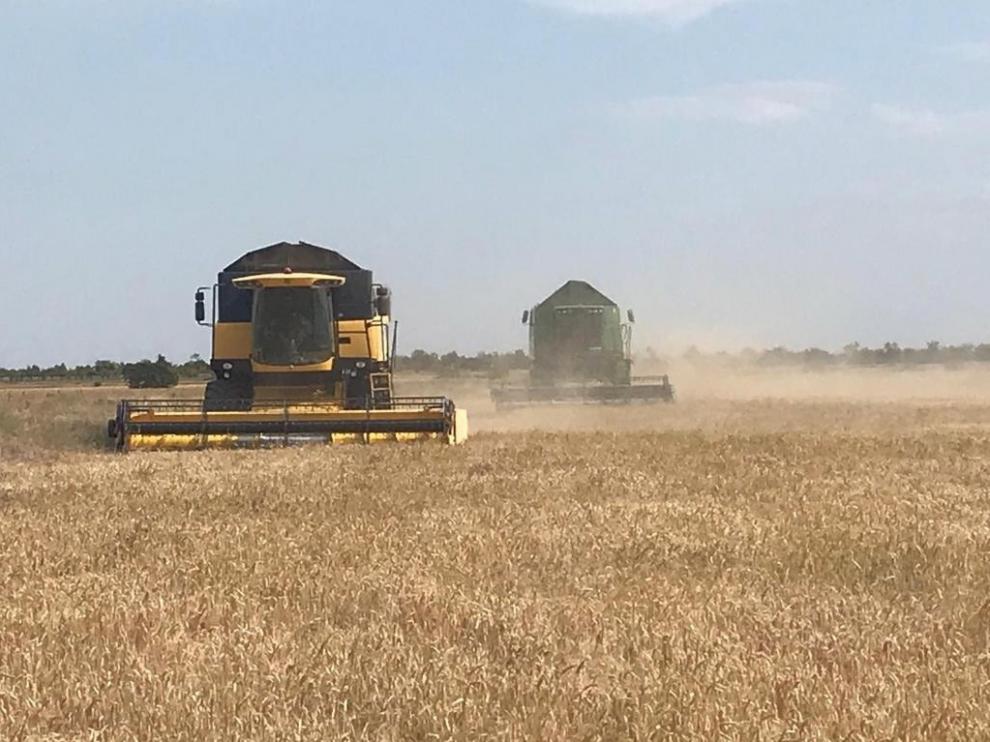 Uaga acerca al sector los temas de interés en su XII Semana Agraria