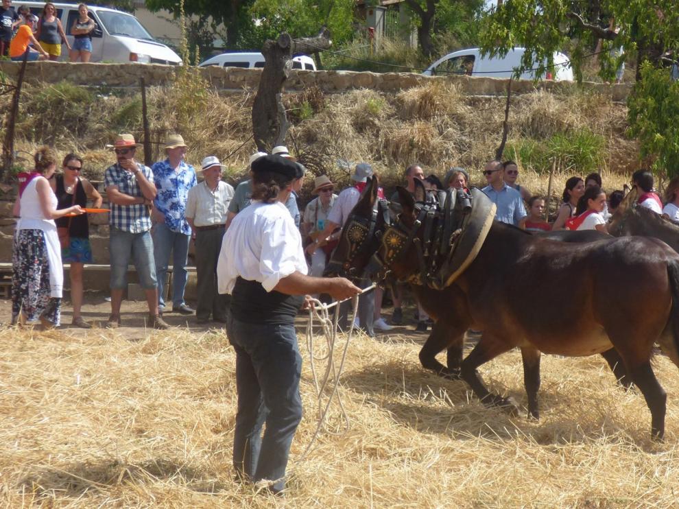Colungo suspende 30 actividades estivales
