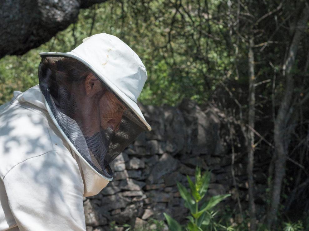 "A Redolada" da a conocer desde Artosilla el singular mundo de las abejas