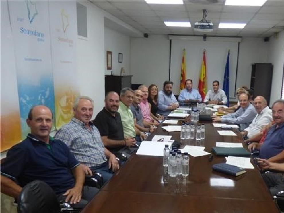 Cinco almazaras inician el camino para crear la D.O. Aceite Somontano