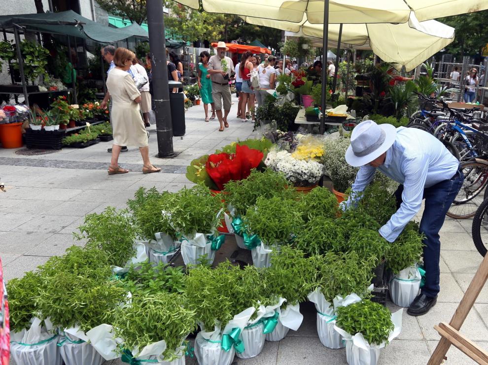 Venta de Albahaca en el mercadillo