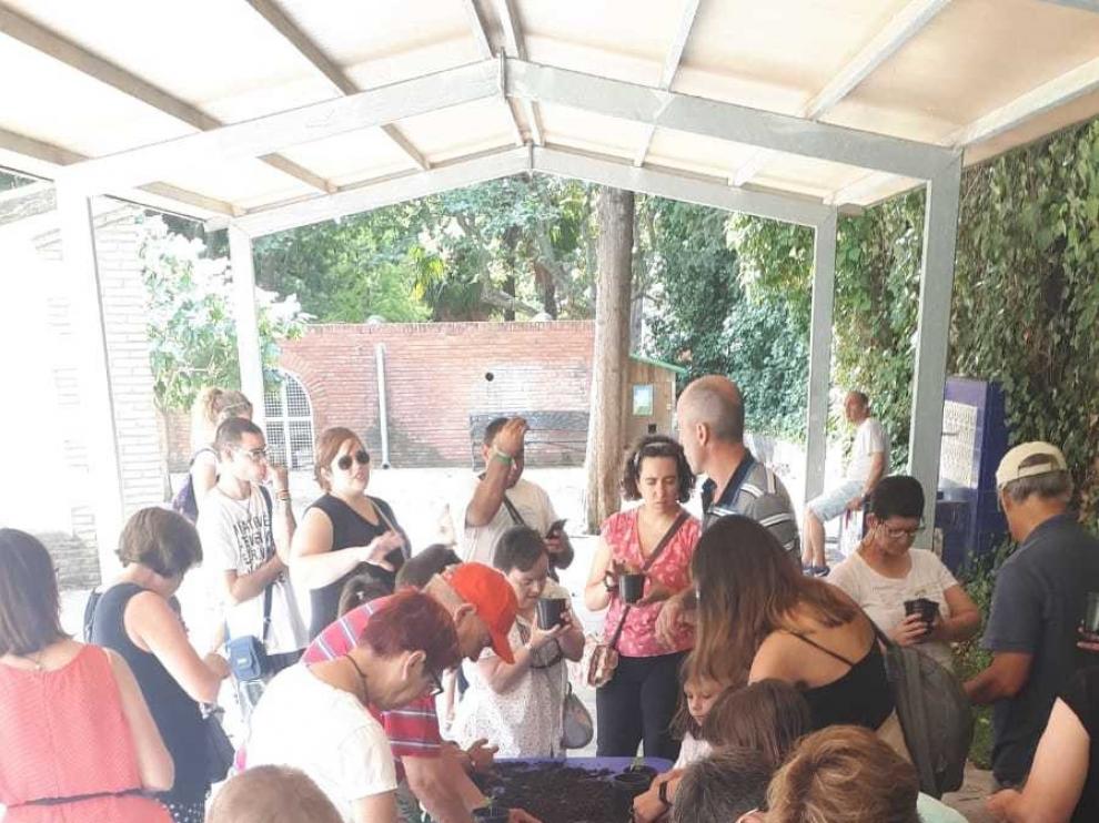 El Aula Verde de Huesca invita con su prelaurentis a plantar "tu propia albahaca"