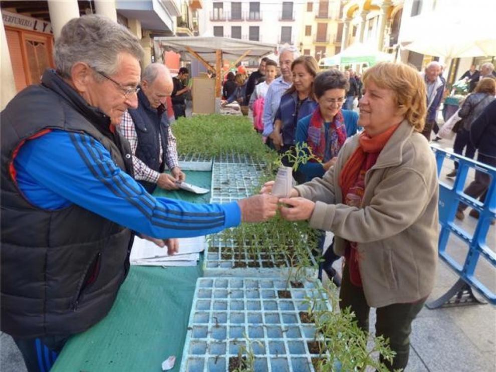 La Asociación de Hortelanos del Alto Aragón recibirá el Trofeo Ferma 2019