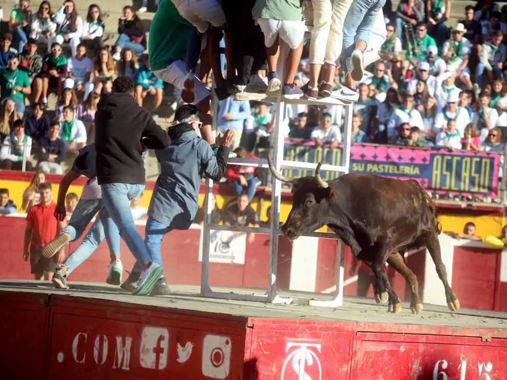 El 14 de agosto en imágenes
