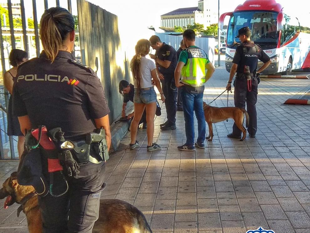 Dos personas detenidas por encubrimiento al autor de la agresión de las fiestas de San Lorenzo