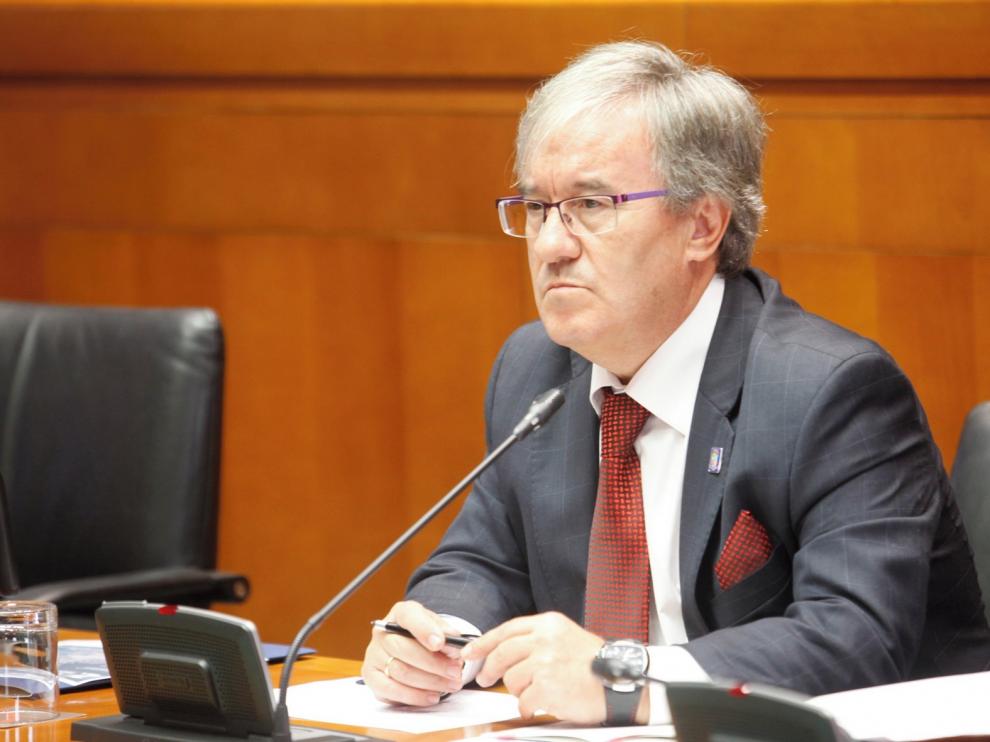 El Justicia avala que sea obligatorio censar el ADN canino en Zaragoza