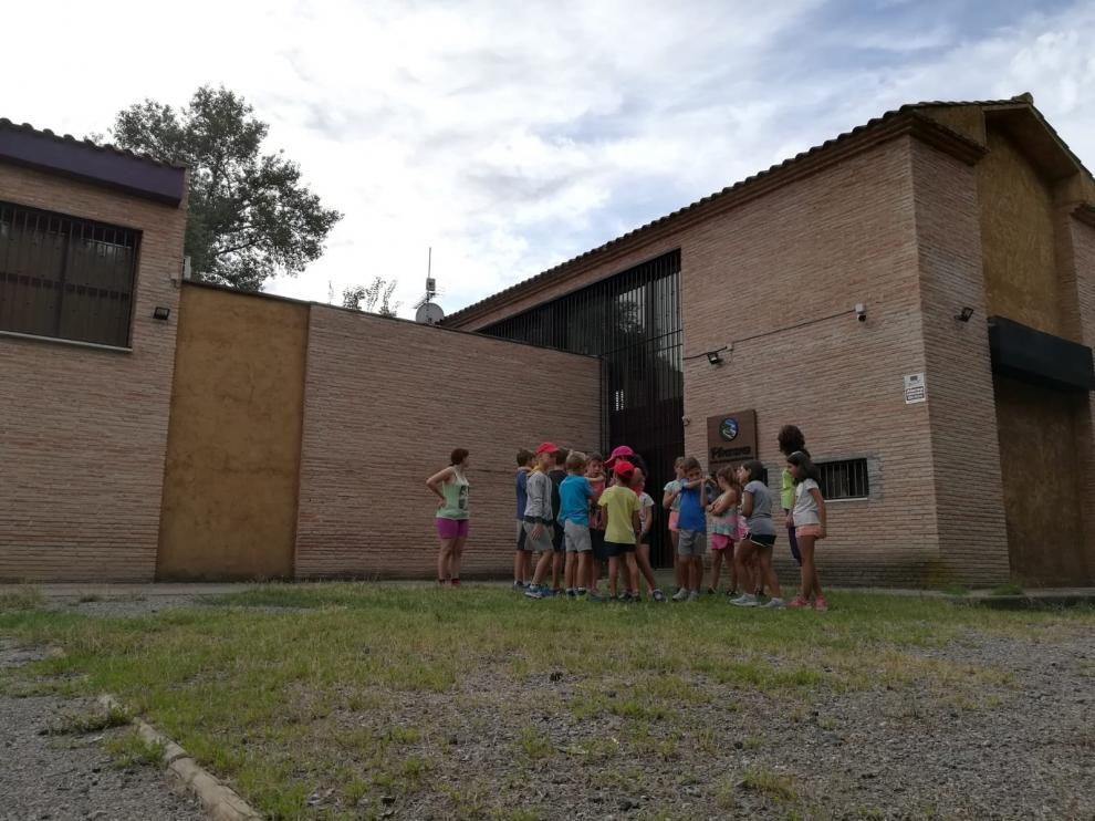Una veintena de niños asiste al campus Divernatura en el centro Pinzana