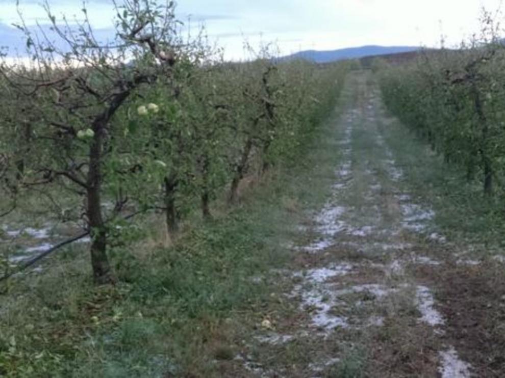 Uaga solicita ayudas por los daños del granizo en Calatayud