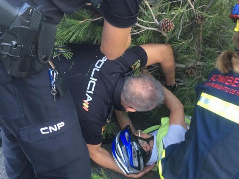Un ciclista queda atrapado bajo las ramas al desplomarse un árbol a su paso por el Puente de San Miguel en Huesca