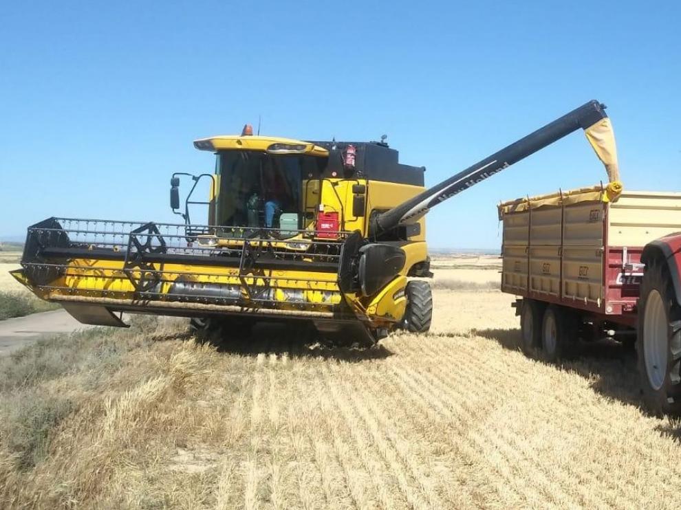 El fin de la cosecha confirma la caída de la producción de cereal
