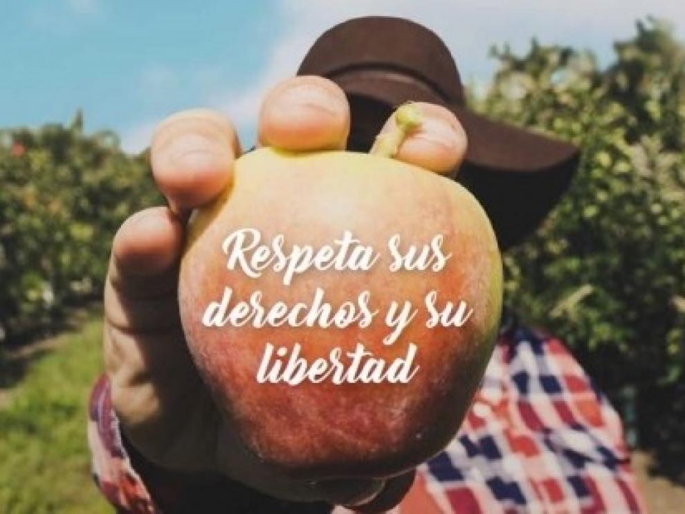 La Oficina contra la Discriminación ha recibido cerca de cien quejas