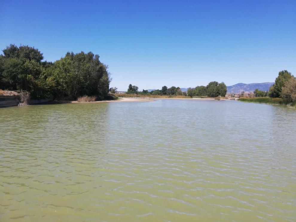 La sequía se cebó con los peces de mayor tamaño de la alberca de Cortés