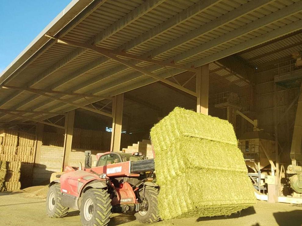 La Cooperativa Virgen de la Corona de Almudévar adquiere un silo en Zuera