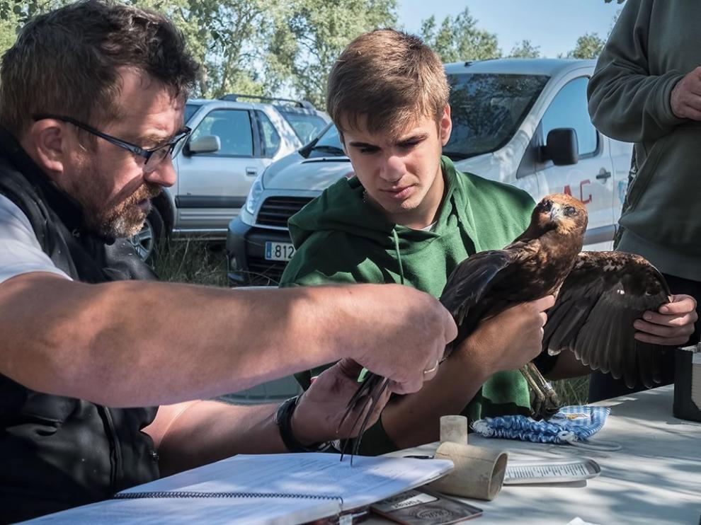 Buñales alberga un espacio único para las aves