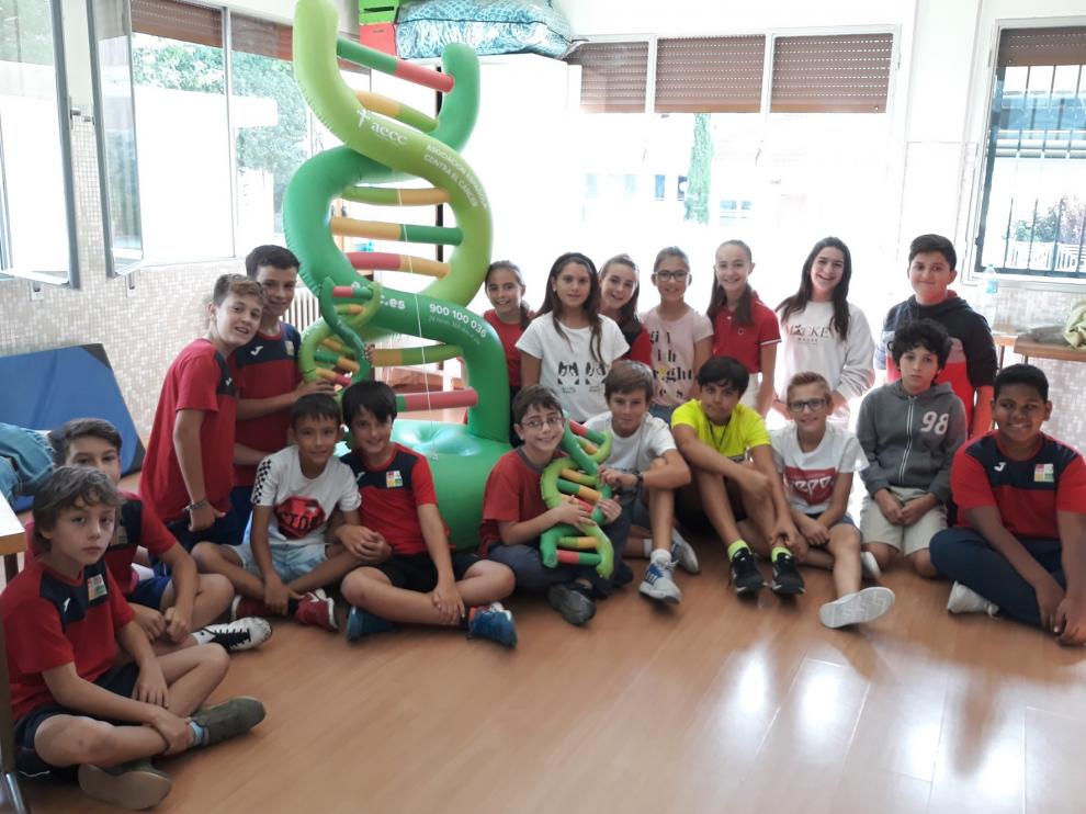Descubrir cómo se extrae el ADN
