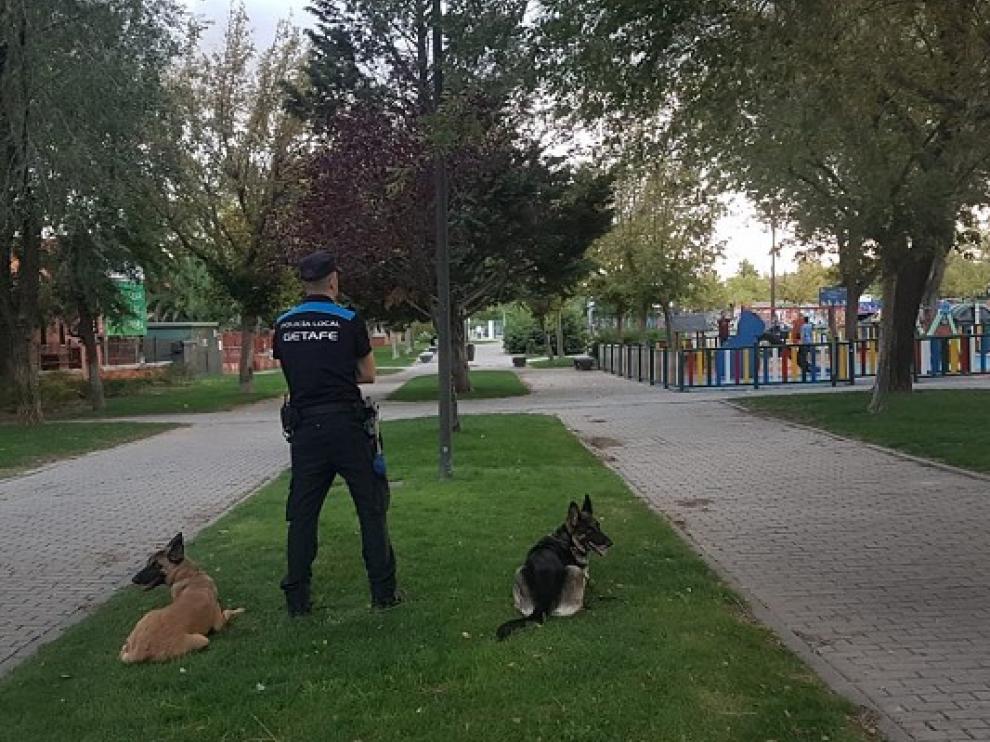 Perros de la Policía hallan 9 paquetes de hachís en un parque infantil en Getafe