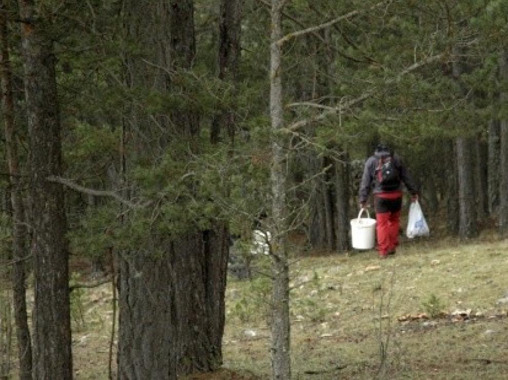 Auxilian en Teruel a cinco personas extraviadas al recoger setas