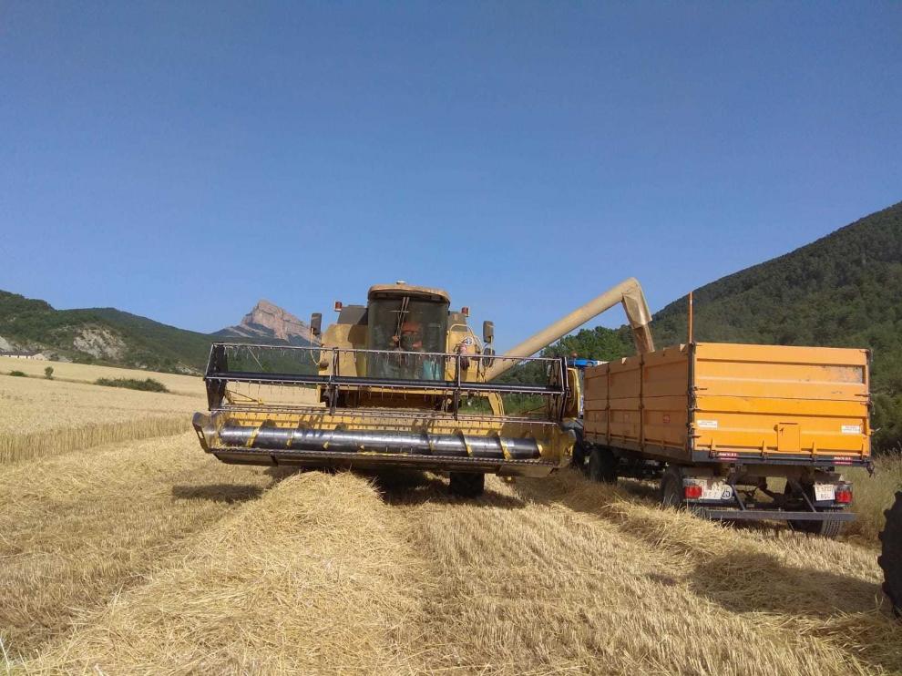 "Santa Orosia" logra más de 7 millones facturados
