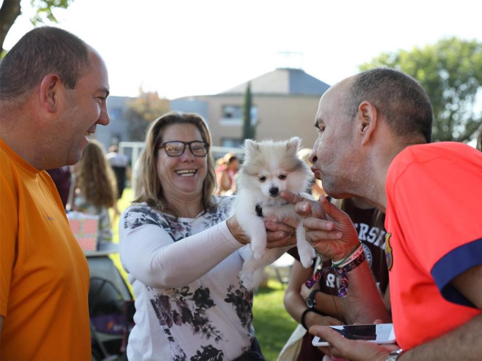 Cerca de 500 personas disfrutan en el Evento Canino de Brotalia