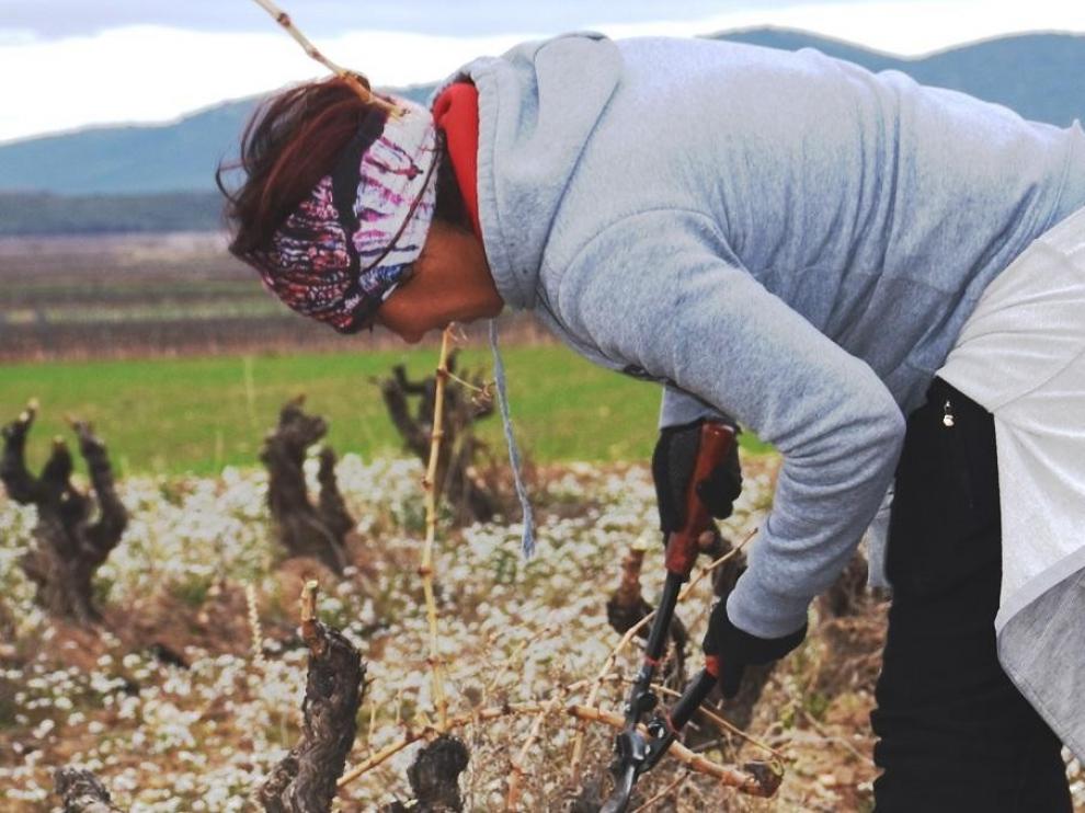 El sector agrario aragonés incorpora a 262 nuevos jóvenes, 72 mujeres