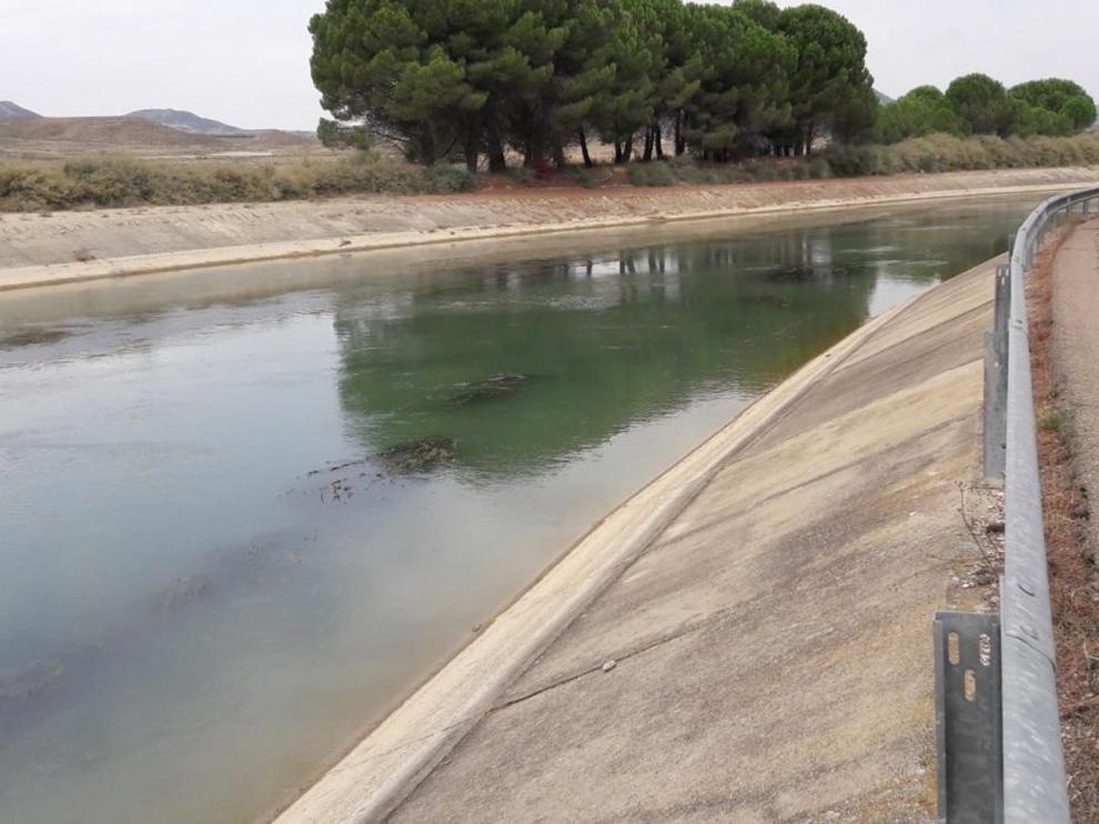 Adjudican un proyecto de mantenimiento en los Canales del Monegros y Sástago