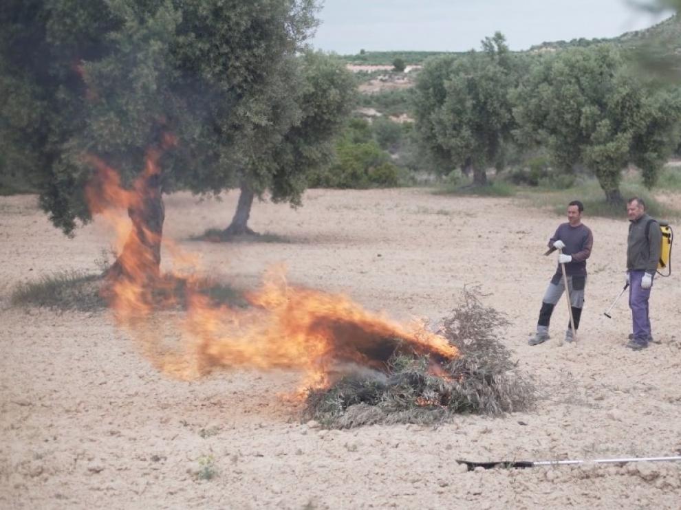 La DGA pide prevención a la hora de llevar a cabo quemas agrícolas
