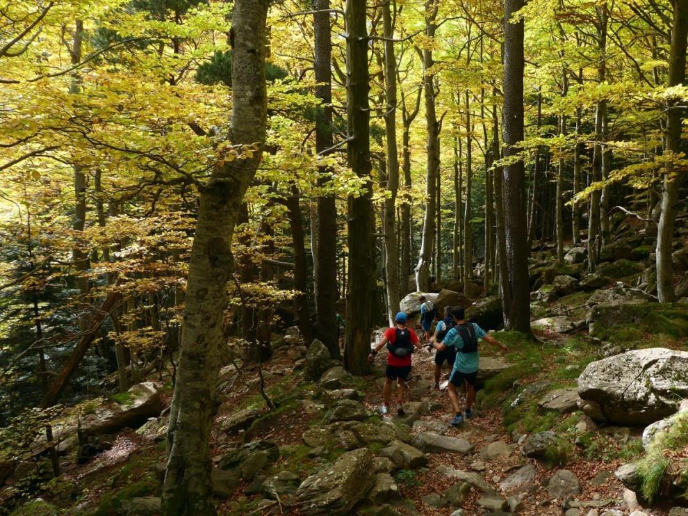 Disfrutando del otoño por el Parque Nacional de Ordesa